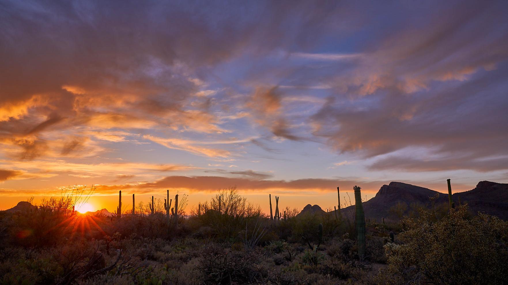 Help Tucson's Saguaro National Park prove that we have the best sunsets
